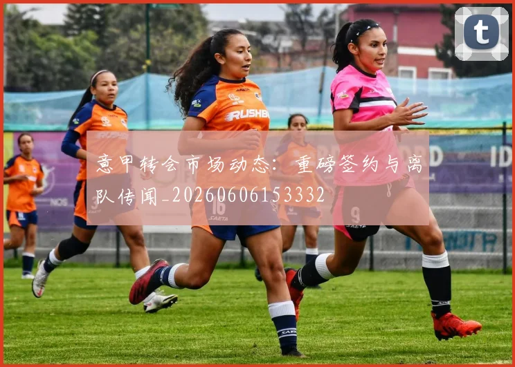 意甲转会市场动态:重磅签约与离队传闻_20260606153332