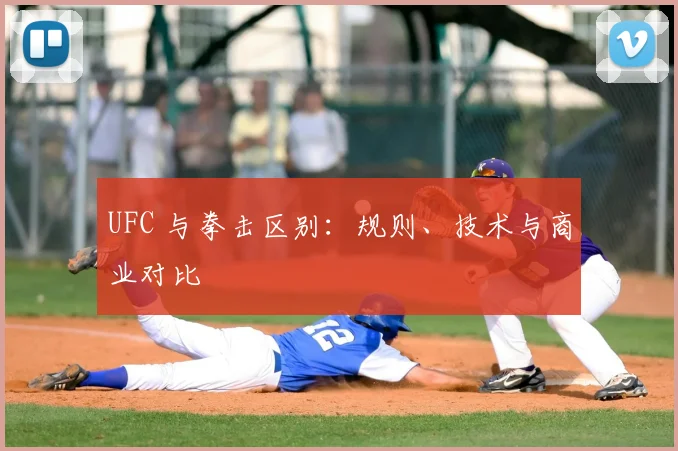 UFC 与拳击区别:规则、技术与商业对比