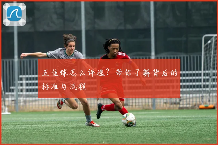五佳球怎么评选？带你了解背后的标准与流程