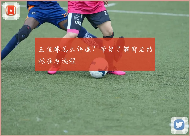 五佳球怎么评选?带你了解背后的标准与流程