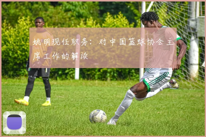 姚明现任职务：对中国篮球协会主席工作的解读